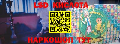 шишки Кимры