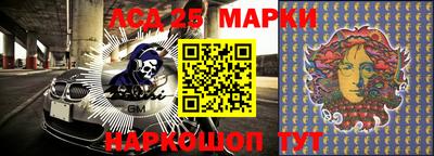 шишки Кимры