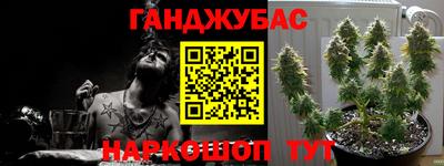 шишки Кимры