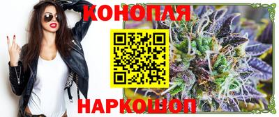 шишки Кимры