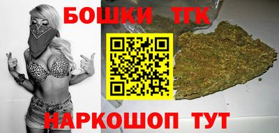 МДПВ Кингисепп