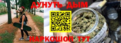 шишки Кимры