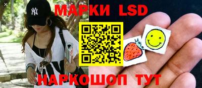 шишки Кимры