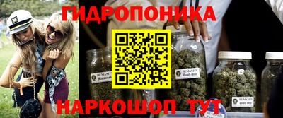 индика Кинель