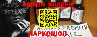 МДПВ Кингисепп