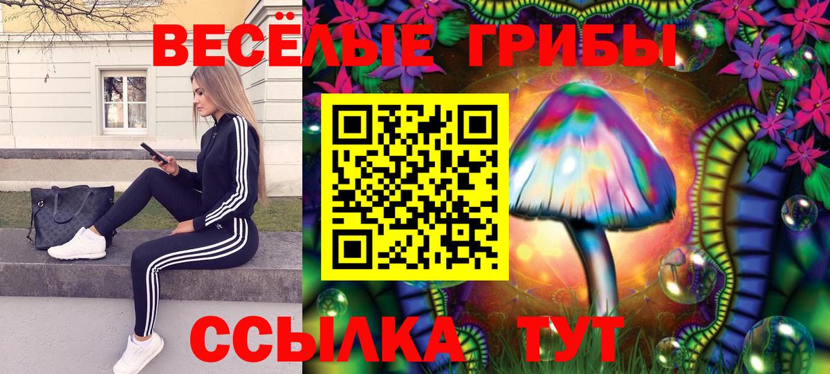 Псилоцибиновые грибы GOLDEN TEACHER Шатура